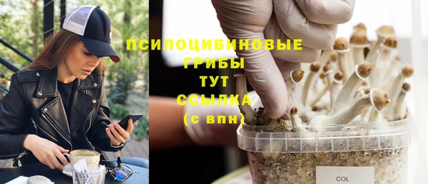 метадон Алексин